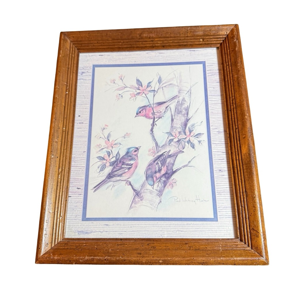 Paul Whitney Hunter Vintage Bird Lithograph Print Framed Wall Art 13x16 Cottage